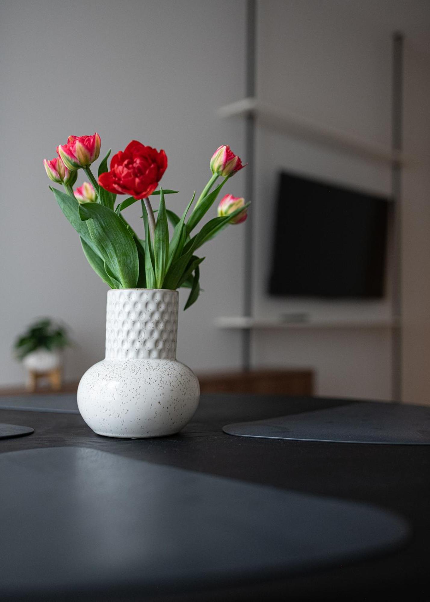 Apartament Mlynow Warszawa Zewnętrze zdjęcie